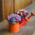 Színes asztaldísz kannában